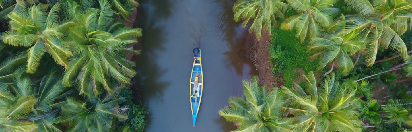 Mesmerizing Kerala