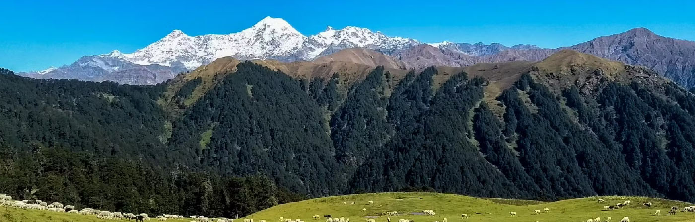 Dayara Bugyal Trek