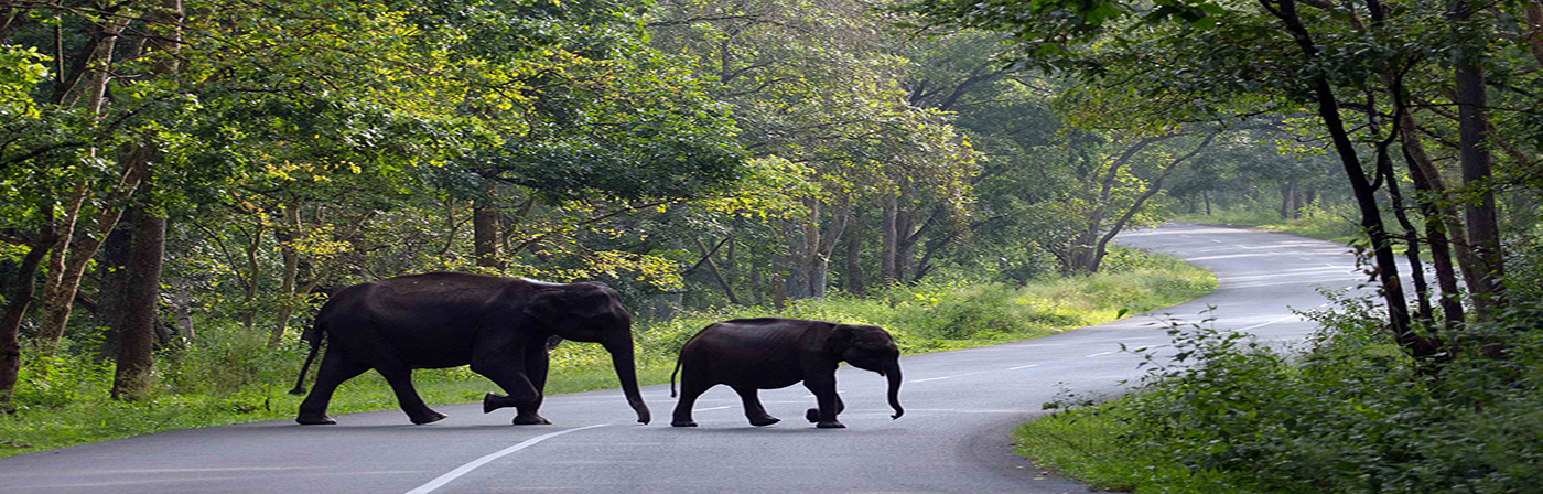 North Kerala