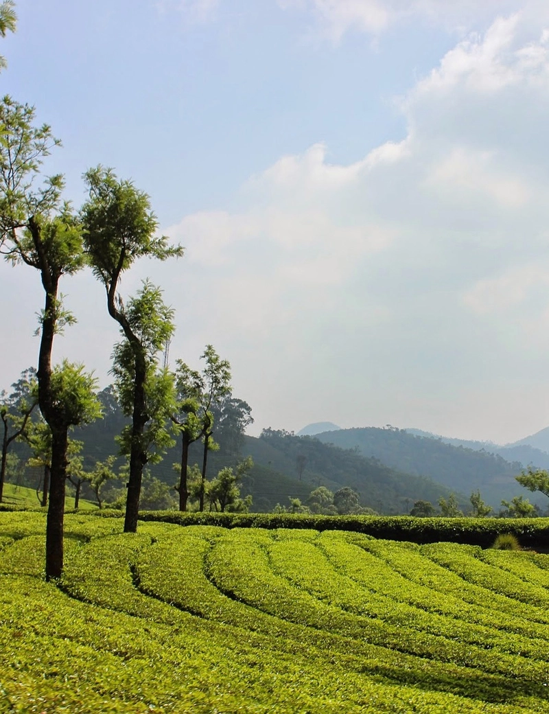 Kerala