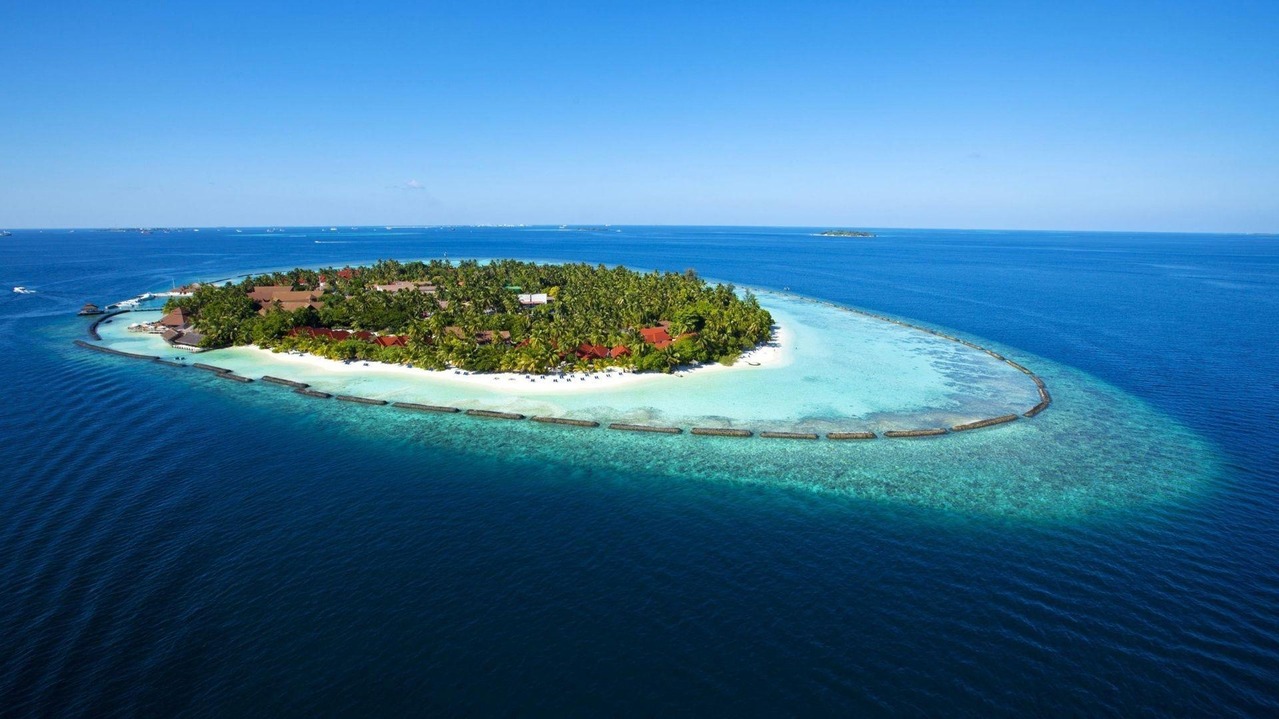 Andaman Delight
