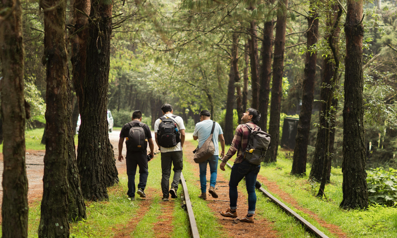 Walk Out of Your Cubicles Plan Your Corporate Tour Package The Way You Like