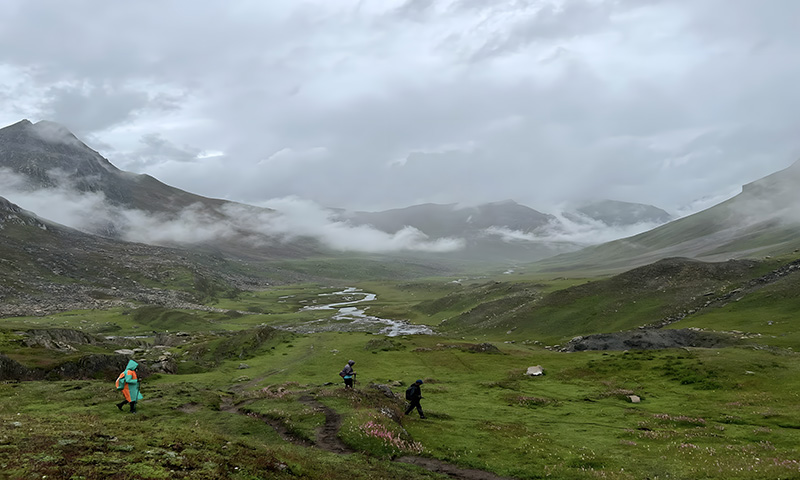 Kanatal vs Dhanaulti Which Hill Escape Suits Your Trip